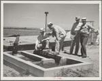 A little water for a thirsty land. Drought committee inspects artesian well irrigation project. Baca County, Colorado