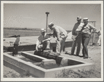 A little water for a thirsty land. Drought committee inspects artesian well irrigation project. Baca County, Colorado