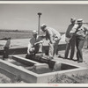 A little water for a thirsty land. Drought committee inspects artesian well irrigation project. Baca County, Colorado