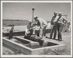 A little water for a thirsty land. Drought committee inspects artesian well irrigation project. Baca County, Colorado