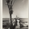 Dr. Tugwell and Chairman Cooke of the drought committee look at a nest of barbed wire in Texas dust bowl. President's report
