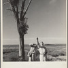 Dr. Tugwell and Chairman Cooke of the drought committee look at a nest of barbed wire in Texas dust bowl. President's report