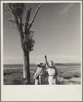 Dr. Tugwell and Chairman Cooke of the drought committee look at a nest of barbed wire in Texas dust bowl. President's report