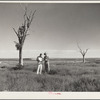 Dr. Tugwell and farmer of dust bowl area in Texas Panhandle. President's report