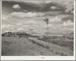 Sod houses. Alliance, Nebraska