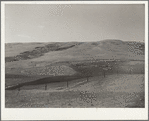 Resettlement stock water dam. Johnson County, Wyoming