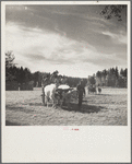 Oxcart used by early settlers of Minnesota