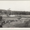 Source of the Mississippi River. Lake Itasca, Minnesota