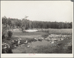 Source of the Mississippi River. Lake Itasca, Minnesota