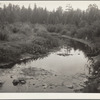 Source of the Mississippi River. Lake Itasca, Minnesota