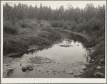 Source of the Mississippi River. Lake Itasca, Minnesota