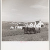 View of Westmoreland Homesteads, Pennsylvania