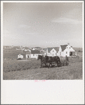 View of Westmoreland Homesteads, Pennsylvania