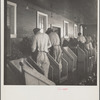 Shucking oysters at twenty-five cents a gallon, Rock Point, Maryland. The average shucker does five gallons a day