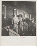 Shucking oysters at twenty-five cents a gallon, Rock Point, Maryland. The average shucker does five gallons a day