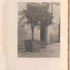 The Aspern papers ...