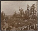 Detail of the landscaping with Japanese Building in trees. Alaska Yukon Pacific Exposition