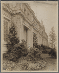 Copses of rhododendrons and firs hedge in all of the exposition buildings. Alaska Yukon Pacific Exposition