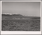 Gold dredge. Nye County, Nevada