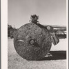 Wheel of borax [i.e., lumber] wagon made from cross section of redwood tree. Death Valley, California