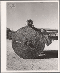 Wheel of borax [i.e., lumber] wagon made from cross section of redwood tree. Death Valley, California