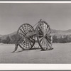 Part of lumber wagon. Death Valley, California