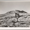 Prospector in the desert. Esmeralda County, Nevada