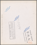 Son of migrant. Tulare migrant camp. Visalia, California