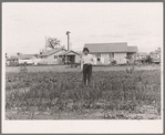 When unemployed, migrants work in labor home gardens. Tulare migrant camp. Visalia, California
