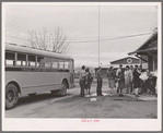 Migrant high school students arriving home from school. Tulare migrant camp. Visalia, California