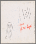 Migrant field worker. Tulare migrant camp. Visalia, California