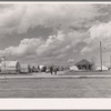 Shafter migrant camp. Shafter, California