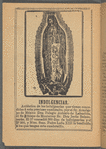 Importante Cuadernillo Llegado de La Santa Casa de Roma. Oración de Pio IX