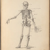 Sketch of skeleton with shorthand annotations
