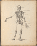 Sketch of skeleton with shorthand annotations