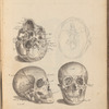 Sketch of skulls with shorthand annotations