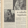 Cinelandia