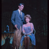 Do I Hear a Waltz?, original Broadway production