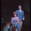Do I Hear a Waltz?, original Broadway production
