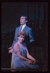 Do I Hear a Waltz?, original Broadway production