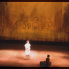 Do I Hear a Waltz?, original Broadway production