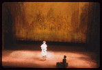 Do I Hear a Waltz?, original Broadway production