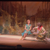 Do I Hear a Waltz?, original Broadway production