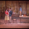 Do I Hear a Waltz?, original Broadway production