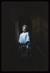 Do I Hear a Waltz?, original Broadway production