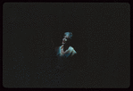 Do I Hear a Waltz?, original Broadway production