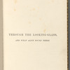 Through the Looking-Glass