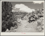 Resettlement Administration workers constructing a stock trail to the Deschutes River. Central Oregon grazing project, Oregon