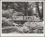 Rustic bridges built by Resettlement Administration workers add to the beauty of stream and forest in the coast recreation area. Oregon