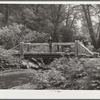 Rustic bridges built by Resettlement Administration workers add to the beauty of stream and forest in the coast recreation area. Oregon